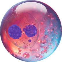 orb 4